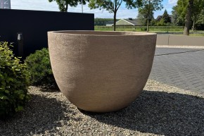 152801-Domani-Texel-120