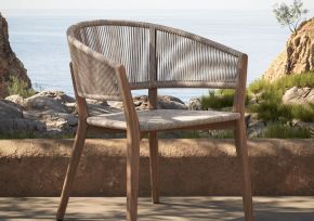 152807-1715958769-cares-55-dining-chair