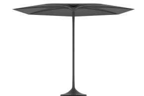185549-Royal-Botania-Palma-Zwart
