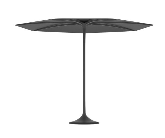 185549-Royal-Botania-Palma-Zwart