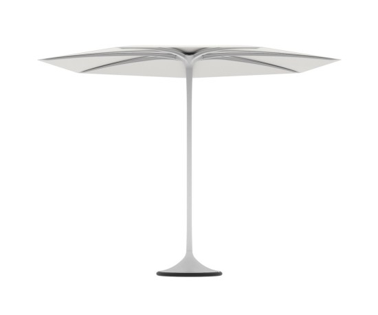 185550-Royal-botania-Palma-Wit