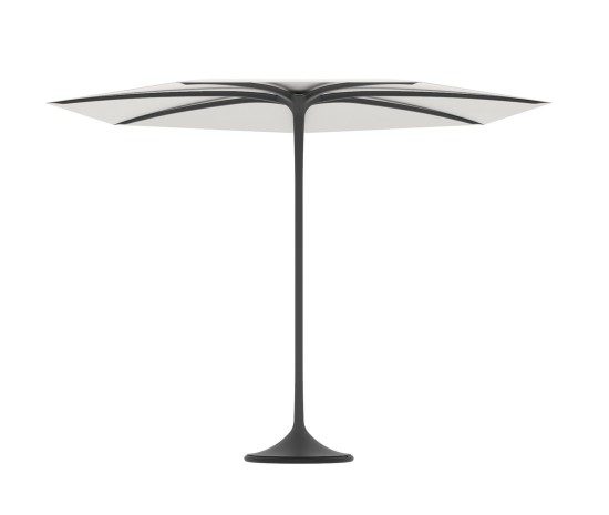 185552-Royal-Botania-Palma-Zwart-Wit