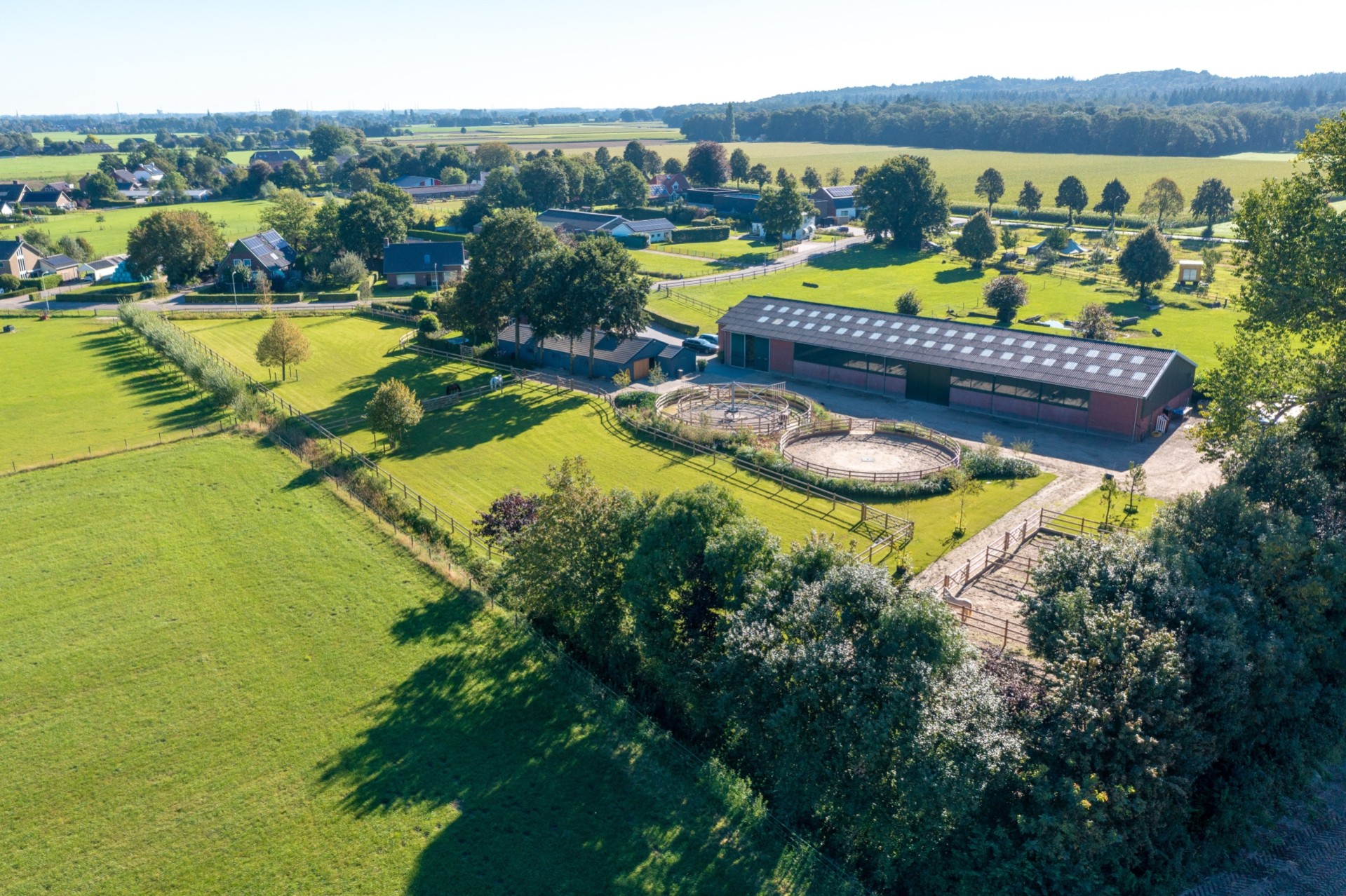 20230906_1003_DJI_0455 (3504 x 2334)