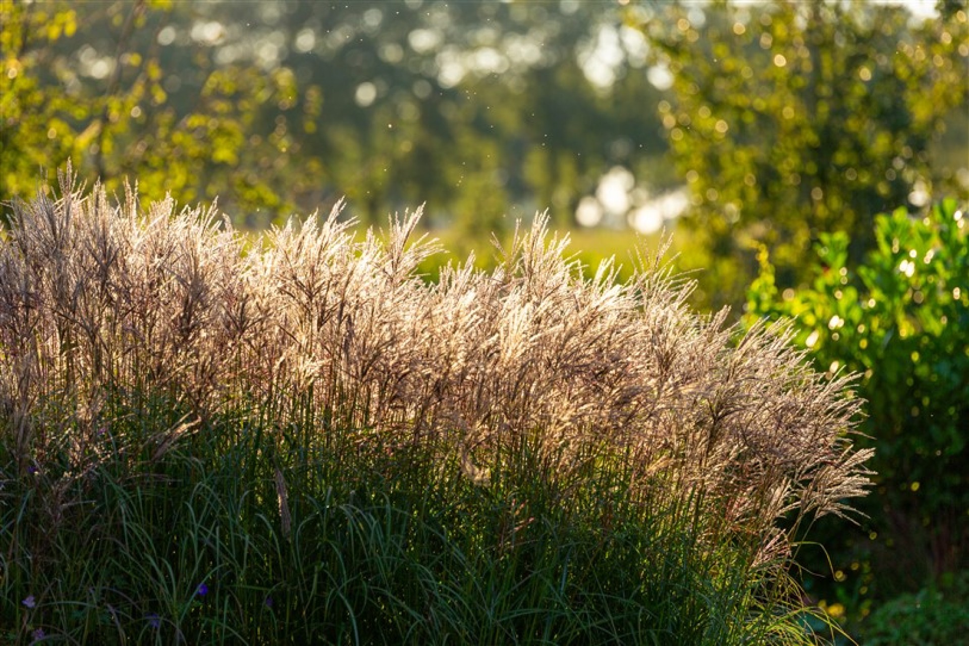 20230906_1915__MG_7200