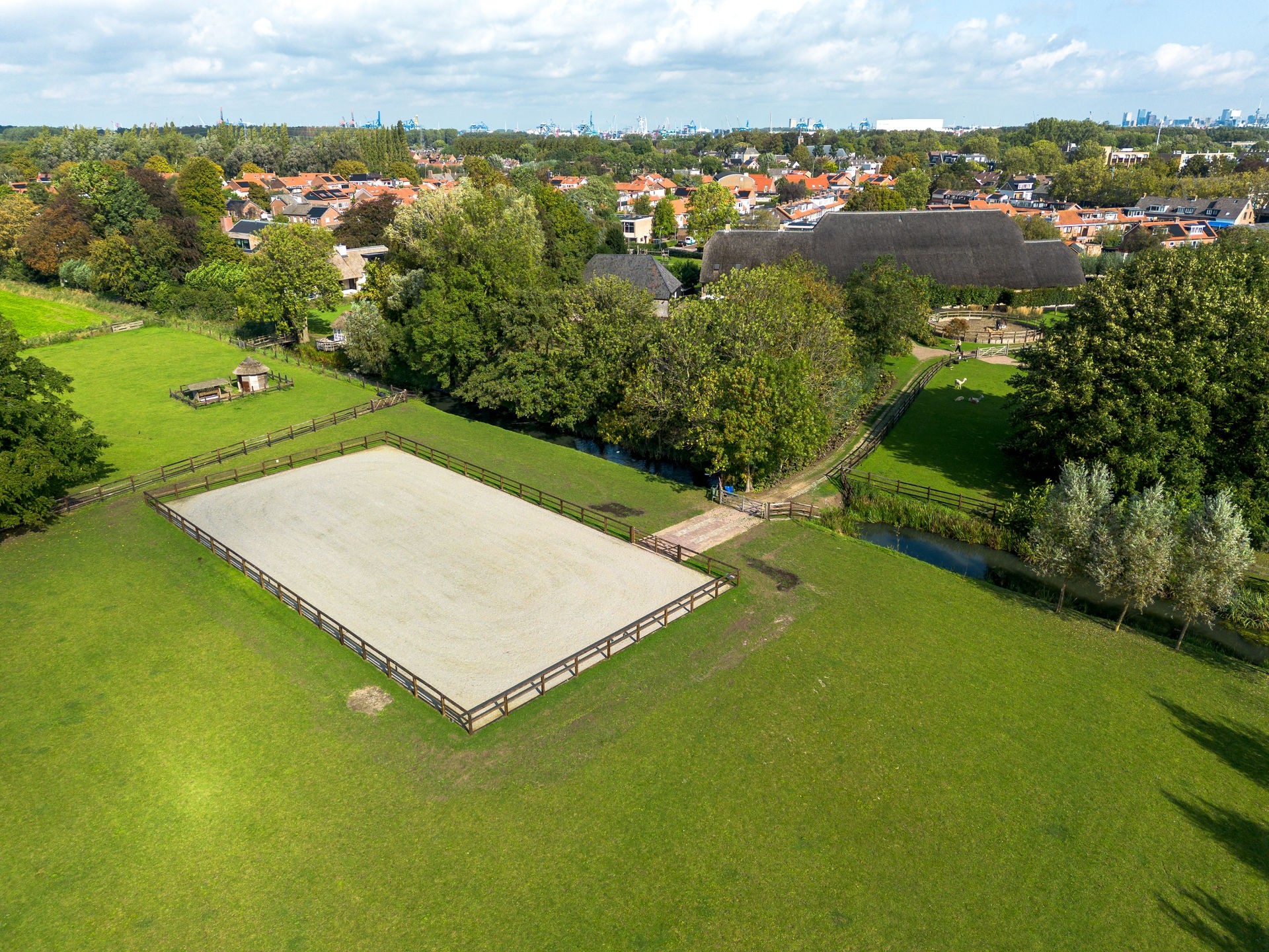 20230918_1154_DJI_0231