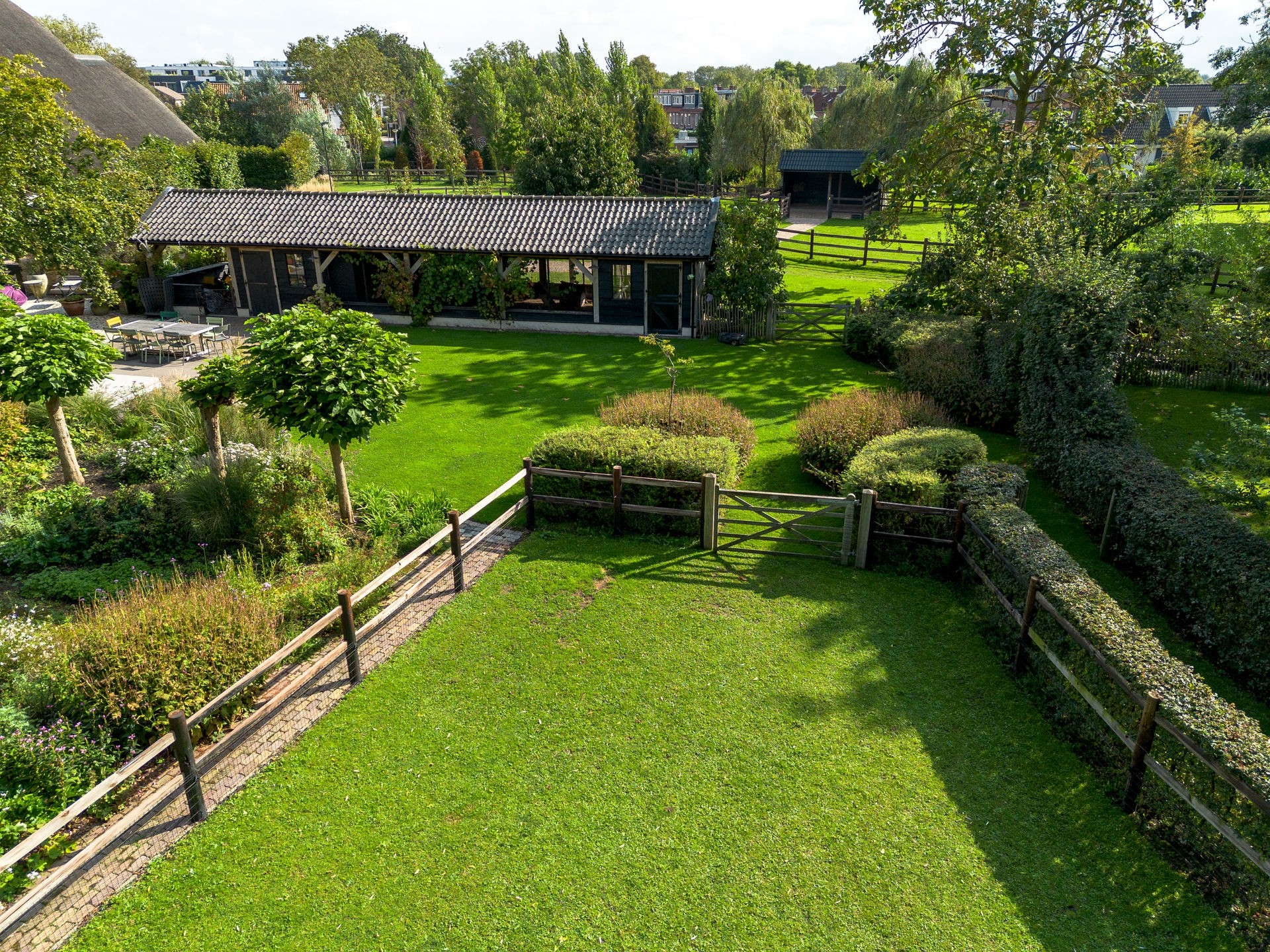 20230918_1200_DJI_0246