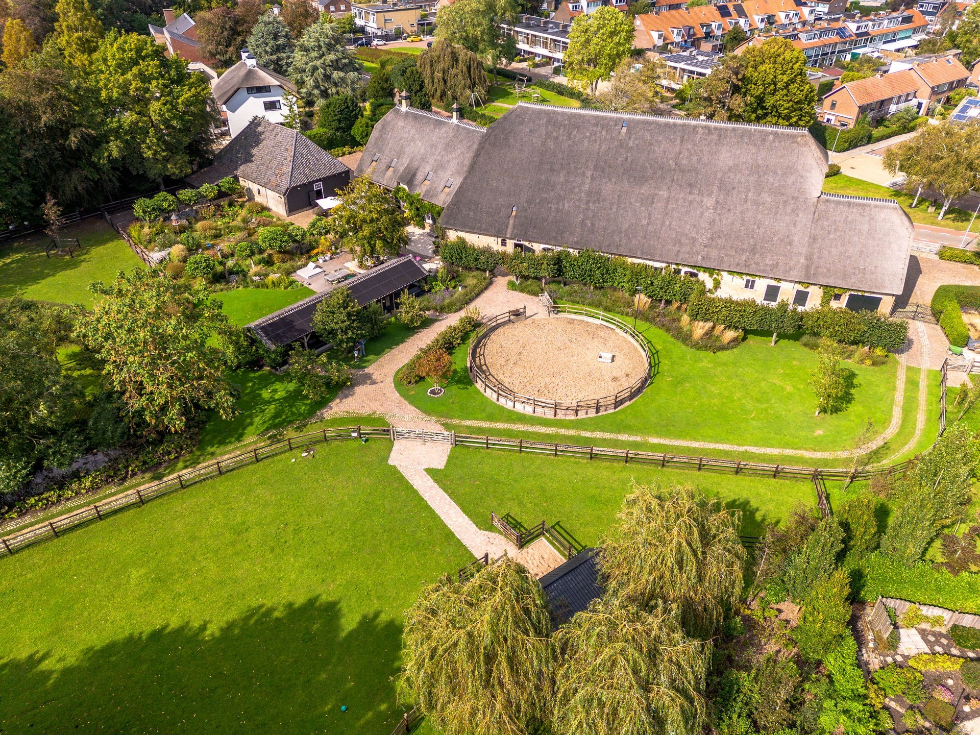 20230918_1419_DJI_0293