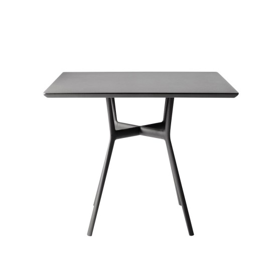 3335-Branch_sqtable_wenge_shd