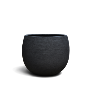 98184-terra_mid_p32