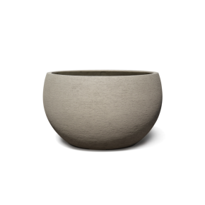 98191-terra_low_p11