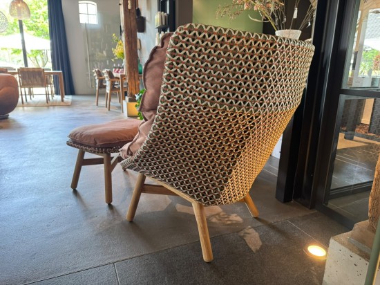 Dedon Mbrace Wingchair Teak (3)
