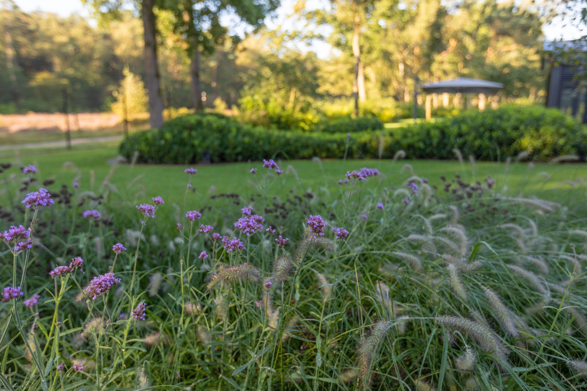 Hendriks Didam exclusieve tuin met zwembad (45)
