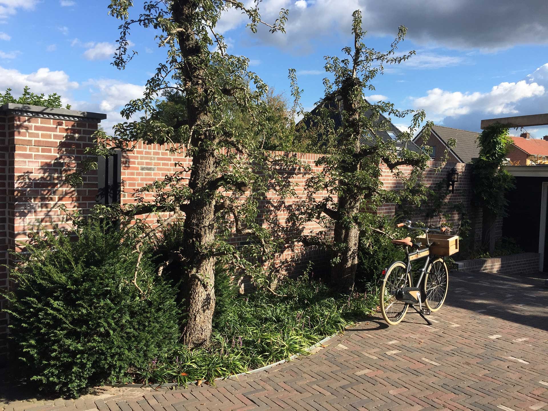 hendriks-hoveniers-fruitbomen-snoeien