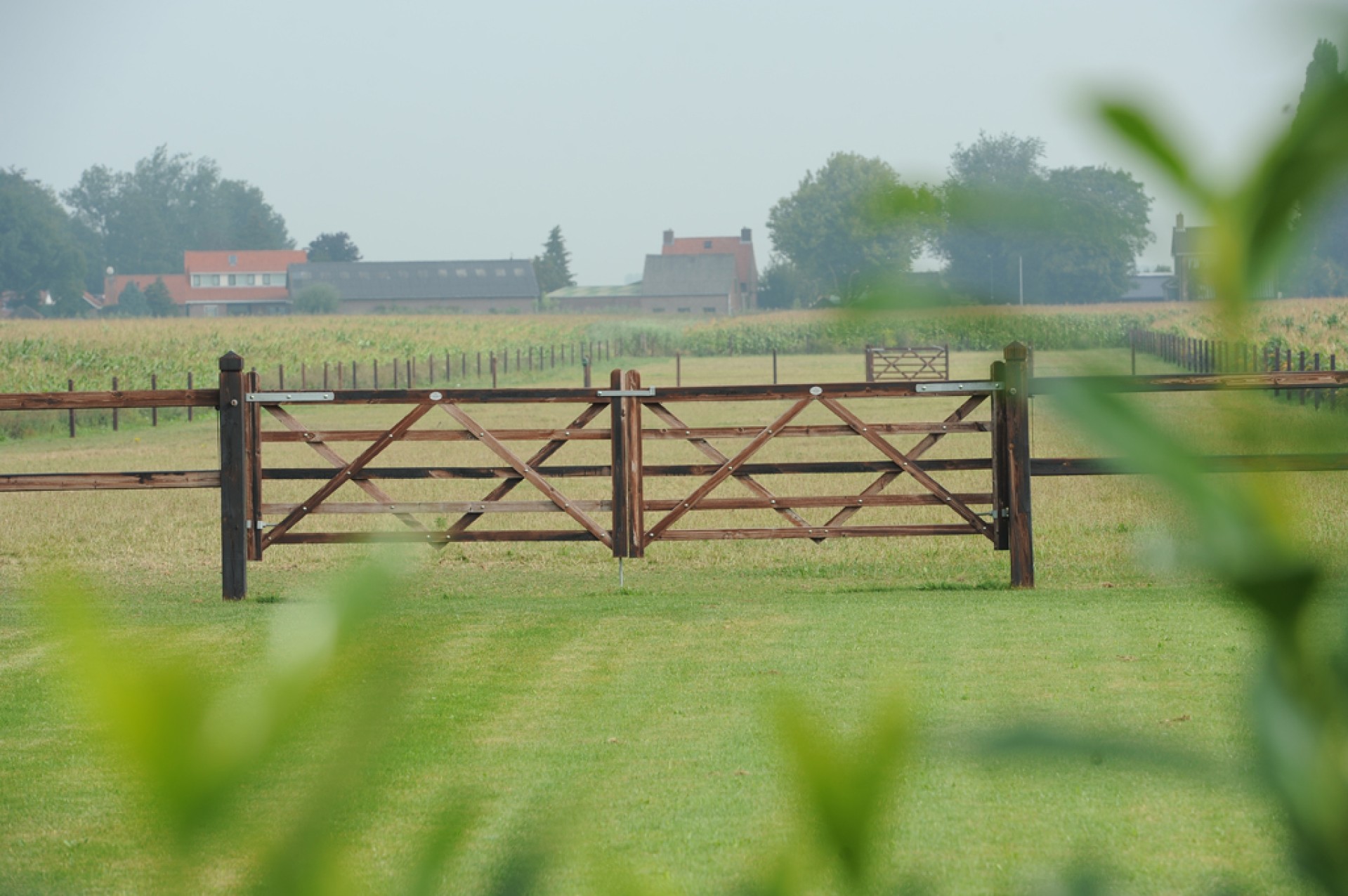 Hendriks Landscape (33)