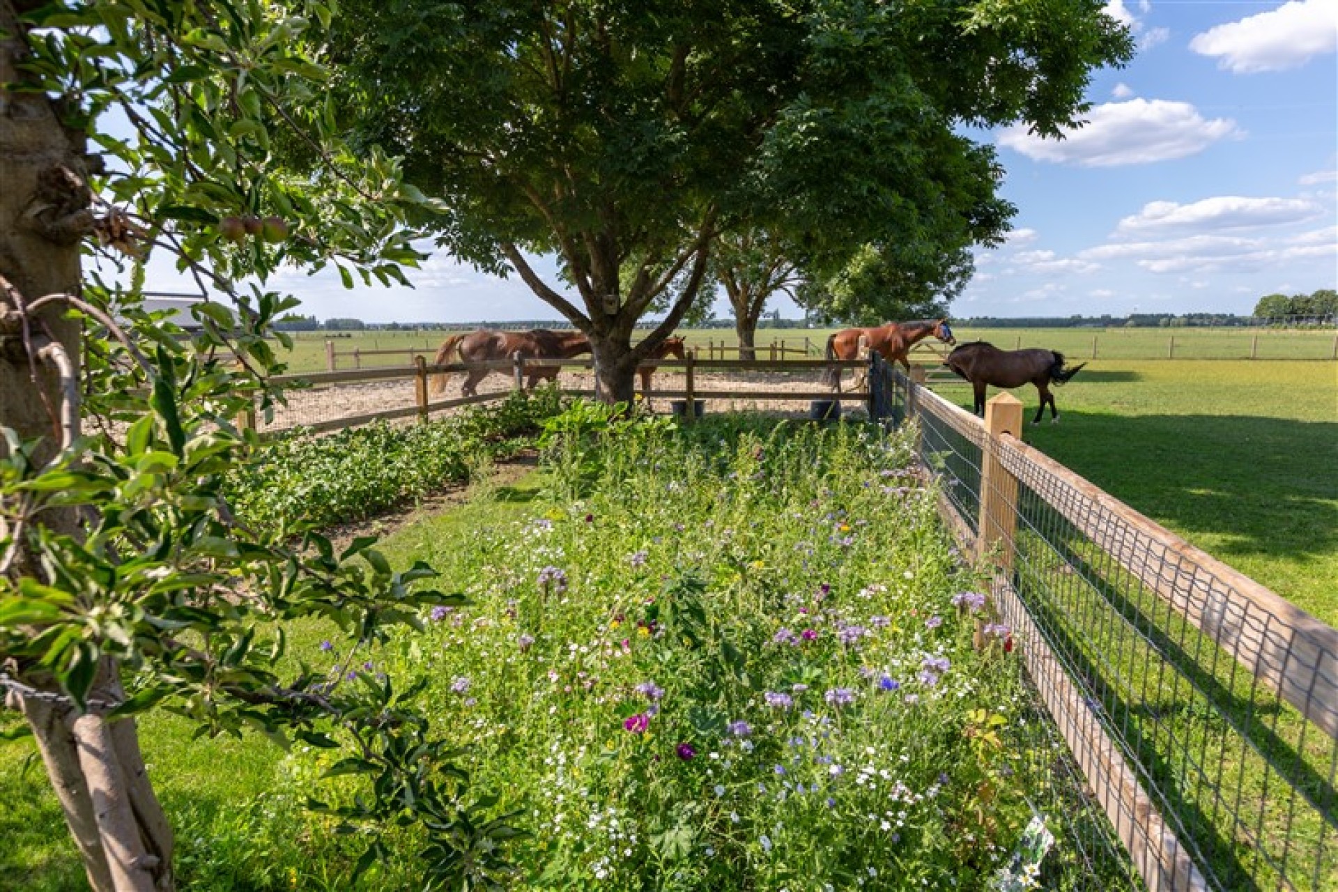 Hendriks Landscape Loo  (1)