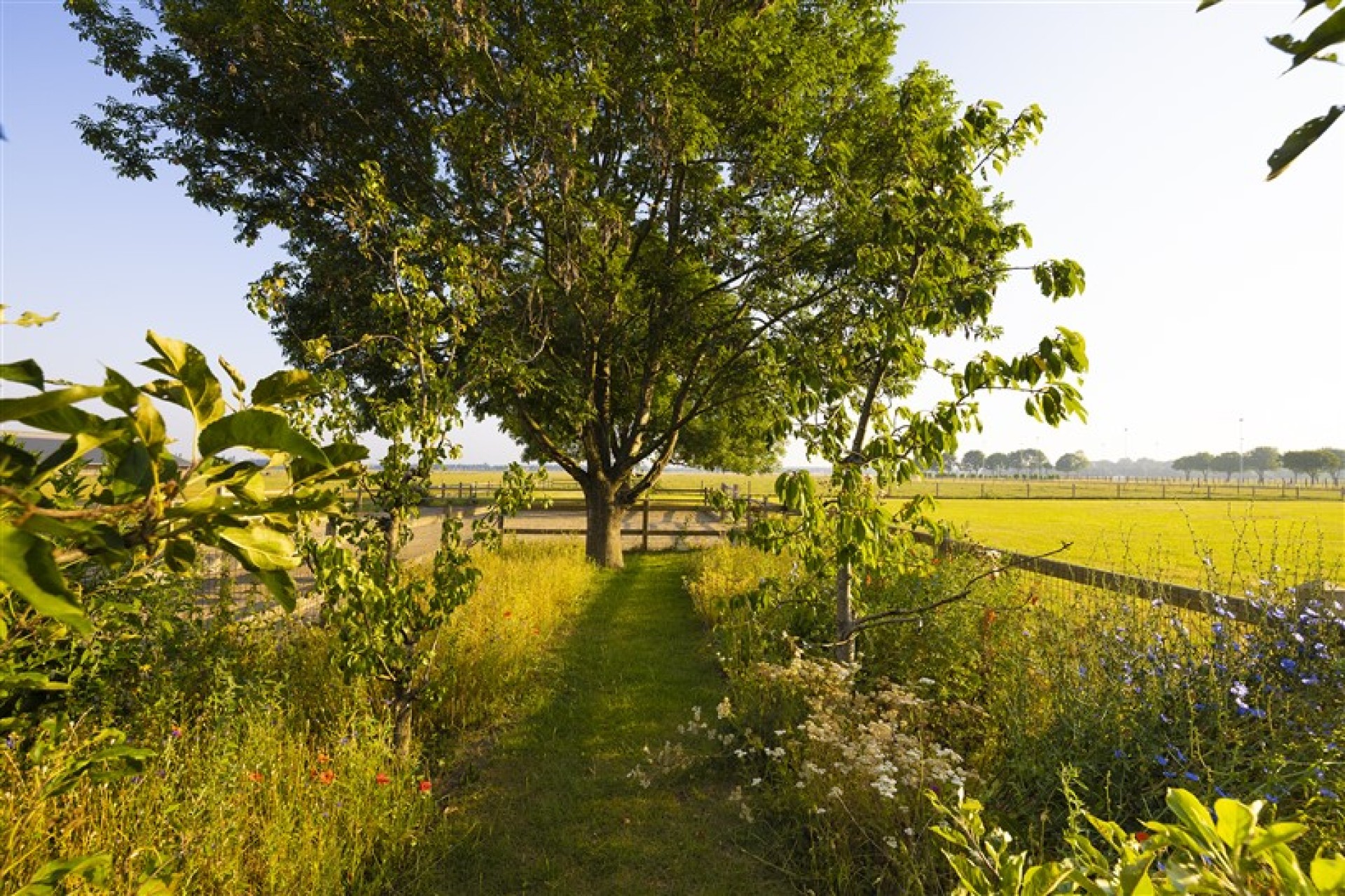 Hendriks Landscape Loo  (25)