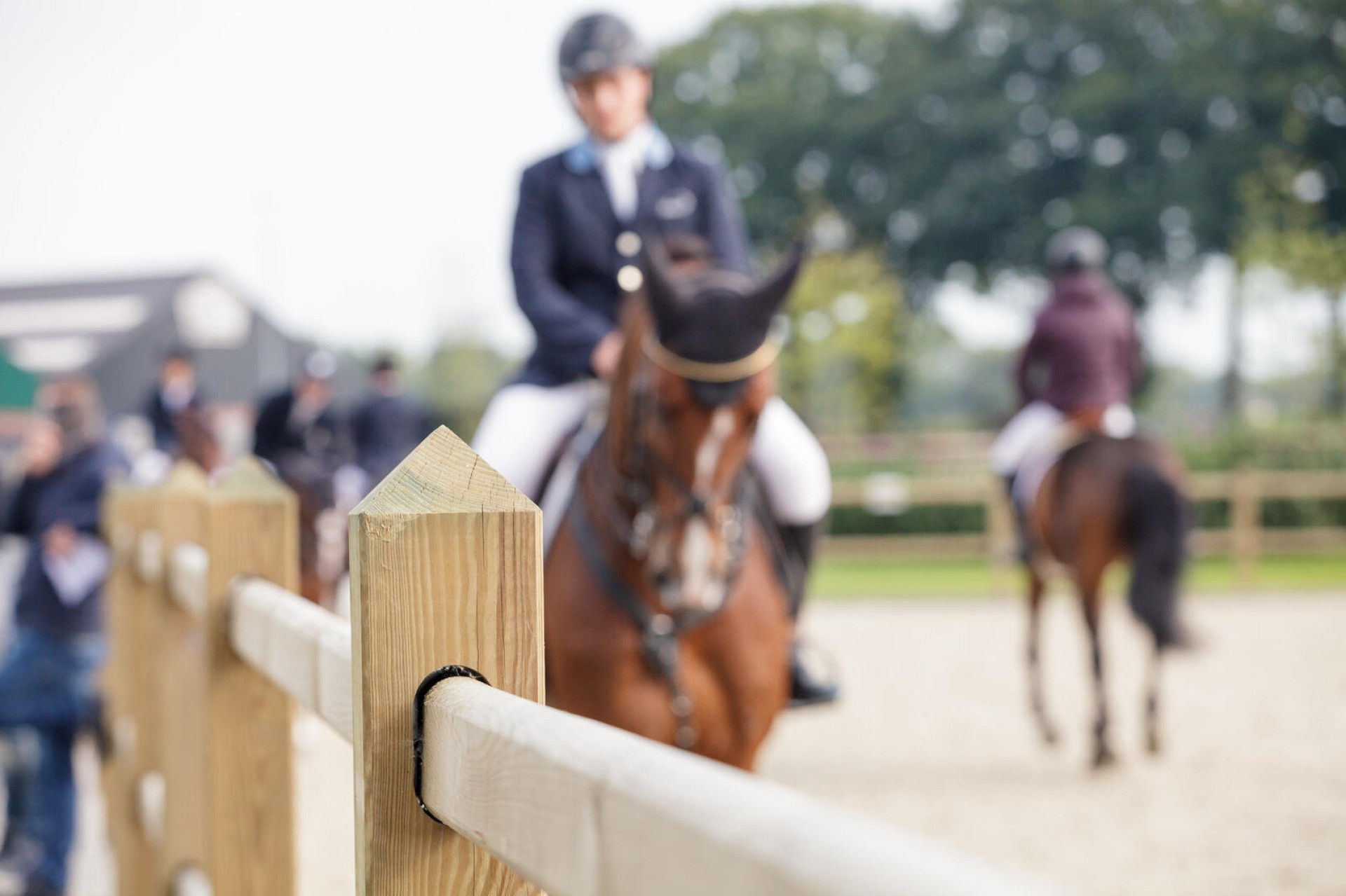 Hendriks Omheining (21)