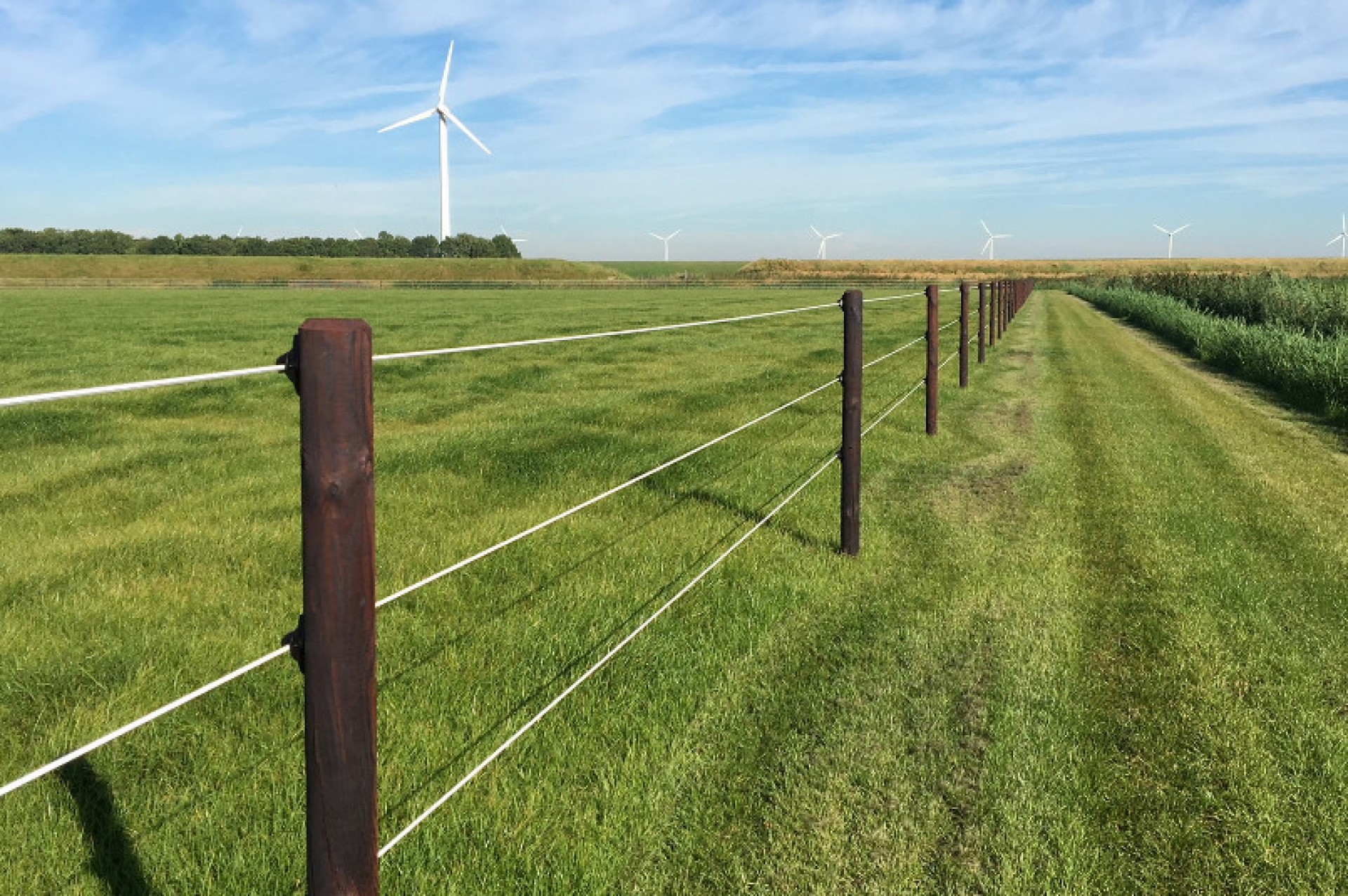 Hendriks Omheining (2)gewone afbeelding site 