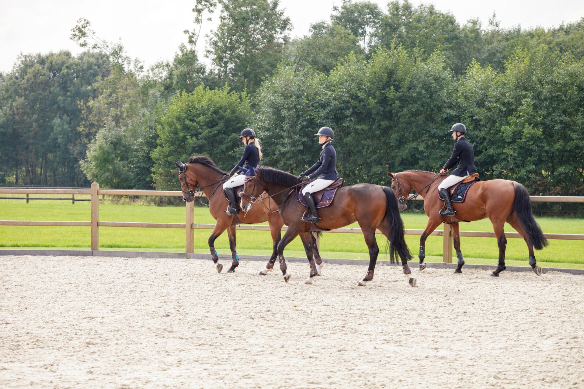 Hendriks Omheining (33)