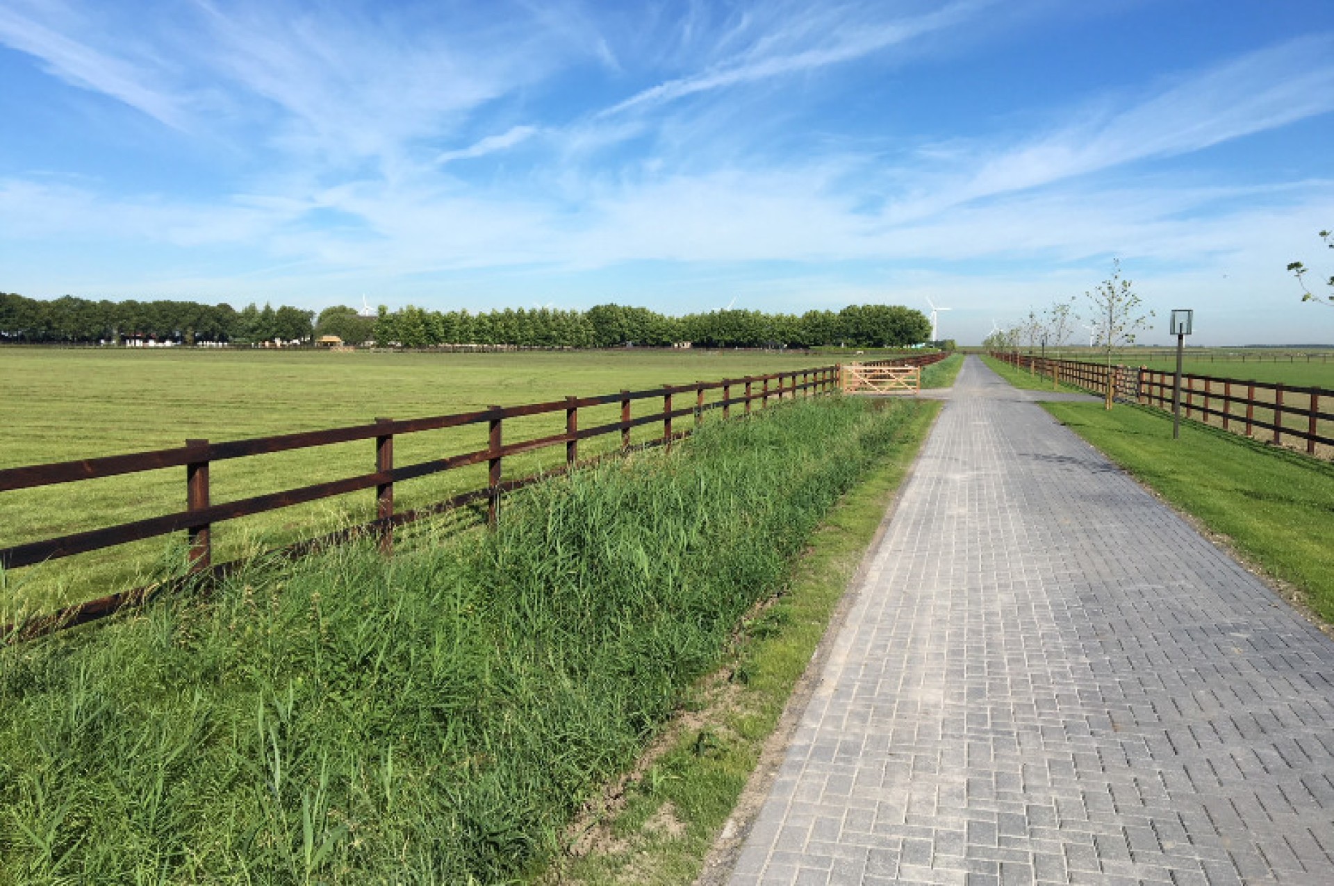 Hendriks Omheining (8)gewone afbeelding site 