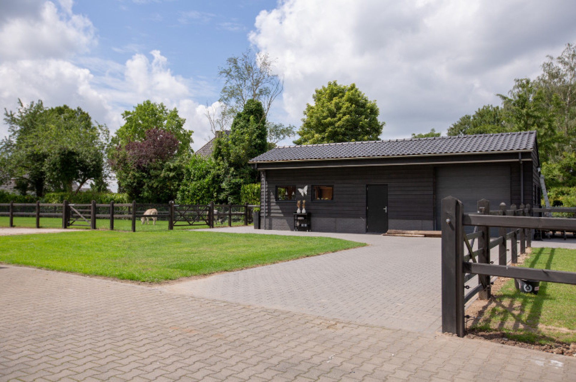 Hendriks Omheining Ezel weide (11)
