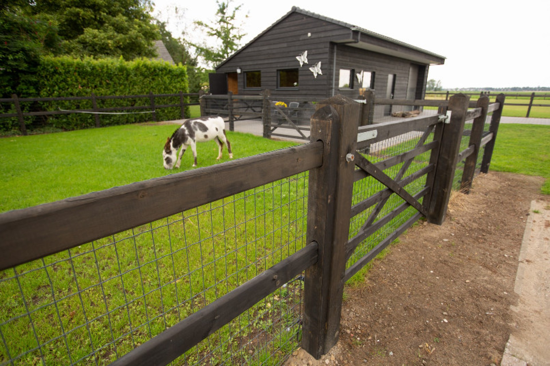 Hendriks Omheining Ezel weide (8)