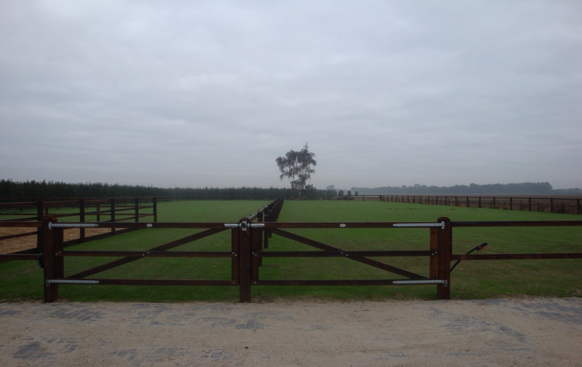 hendriks-omheining-hardhout-project-haalderen-2 (1680 x 1060)