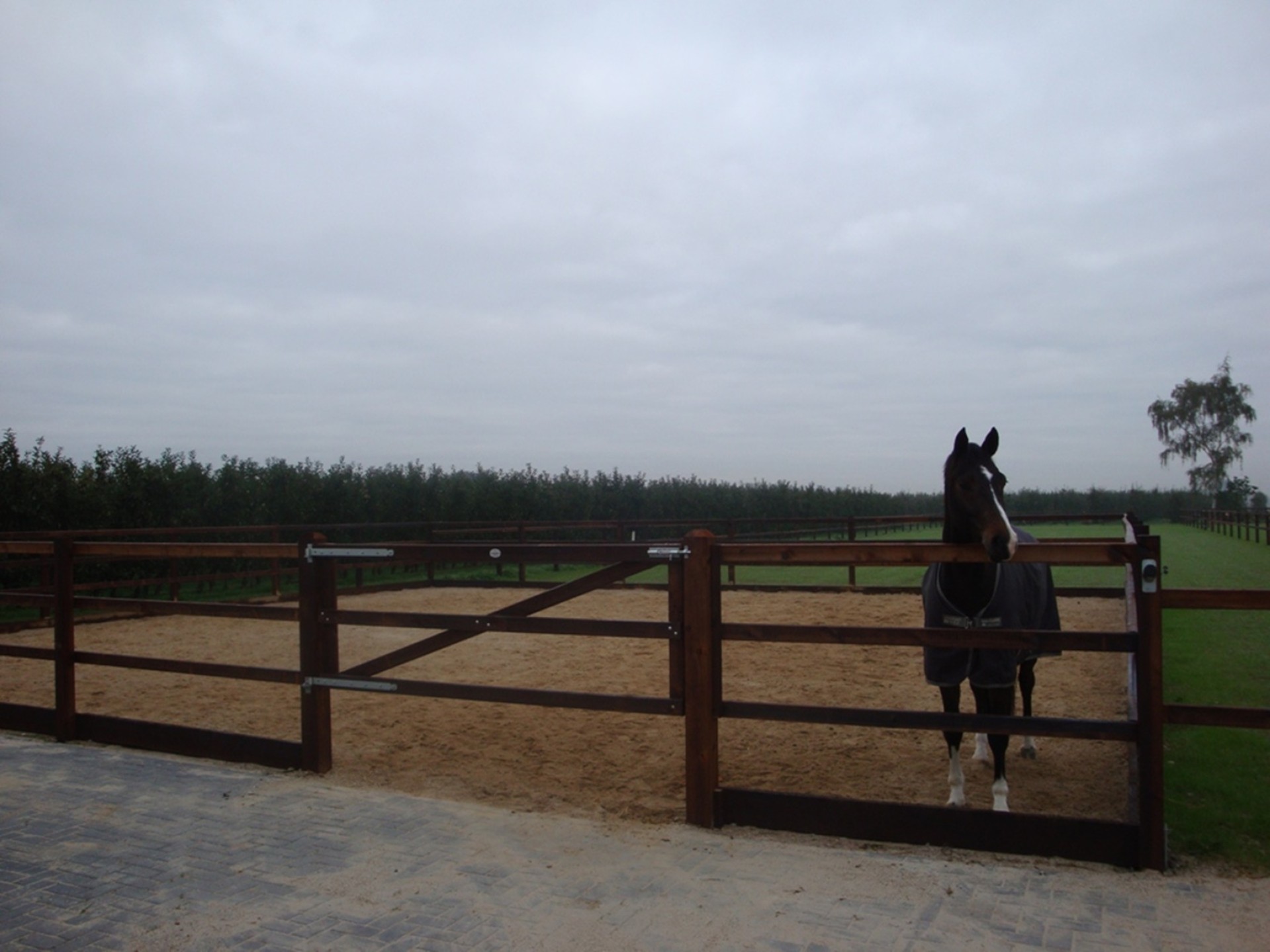 hendriks-omheining-hardhout-project-haalderen-8_0