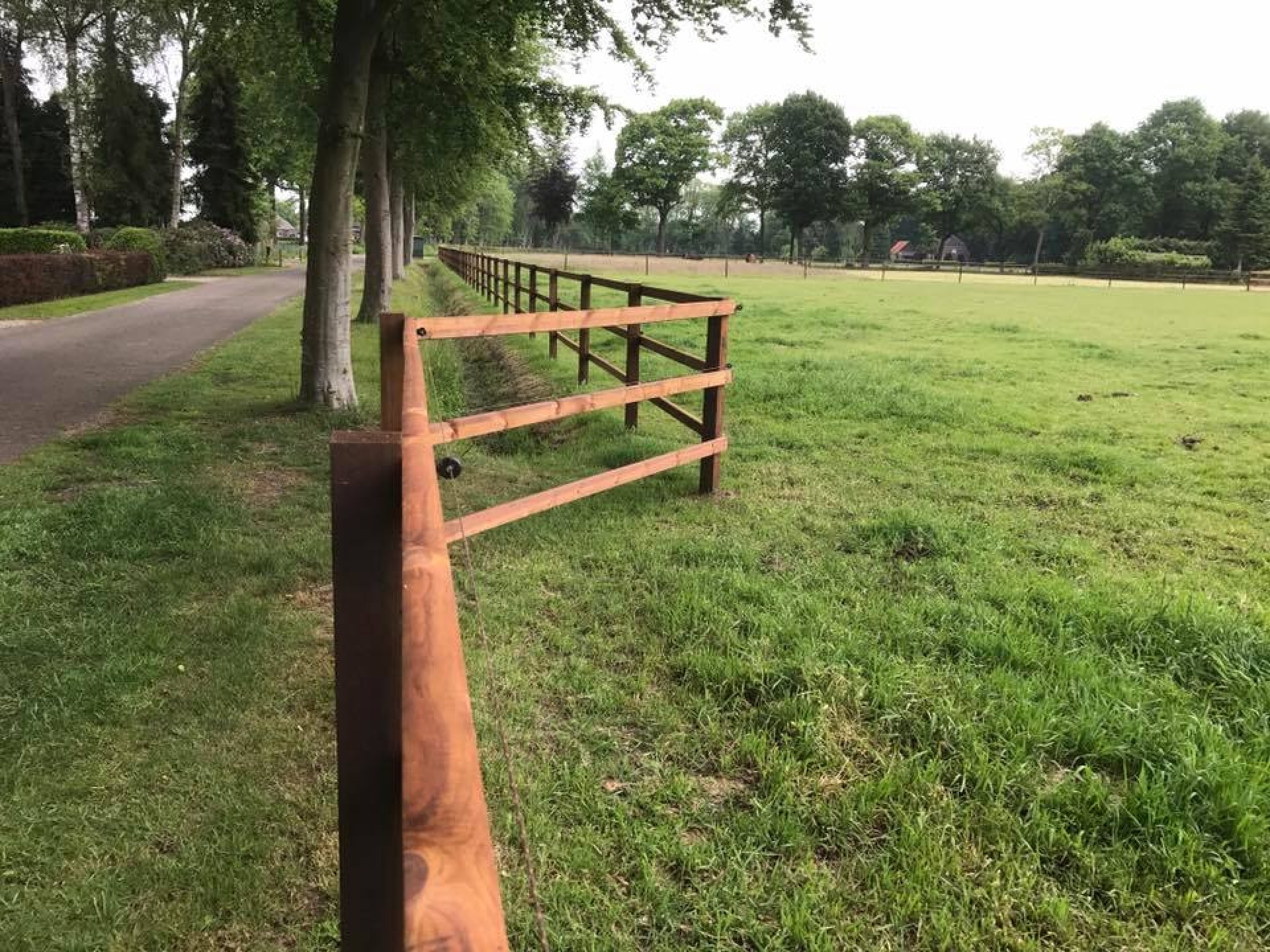 hendriks-omheining-merrie-veilige-afrastering-6