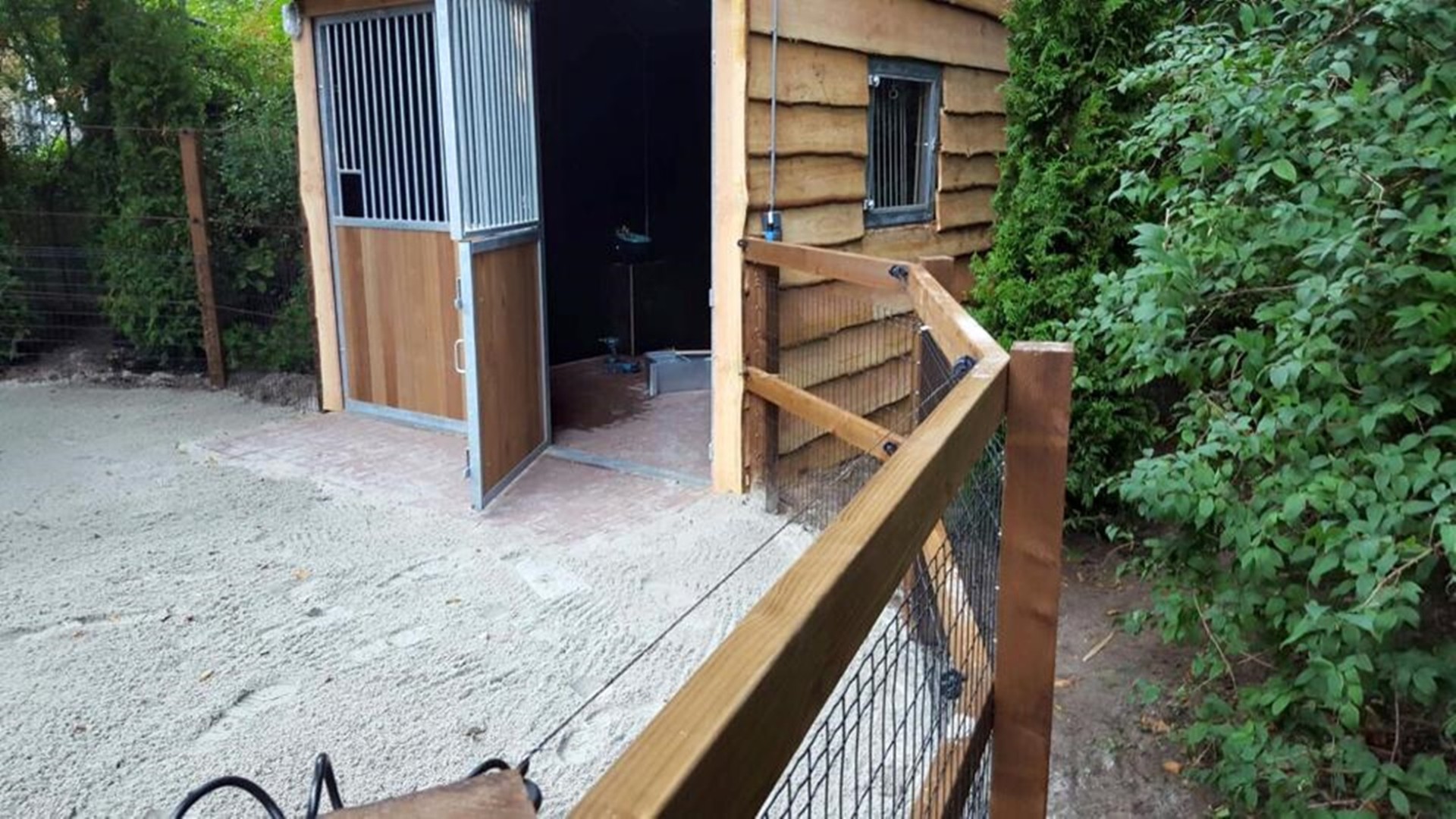 hendriks-omheining-paradijs-mini-ponies-5