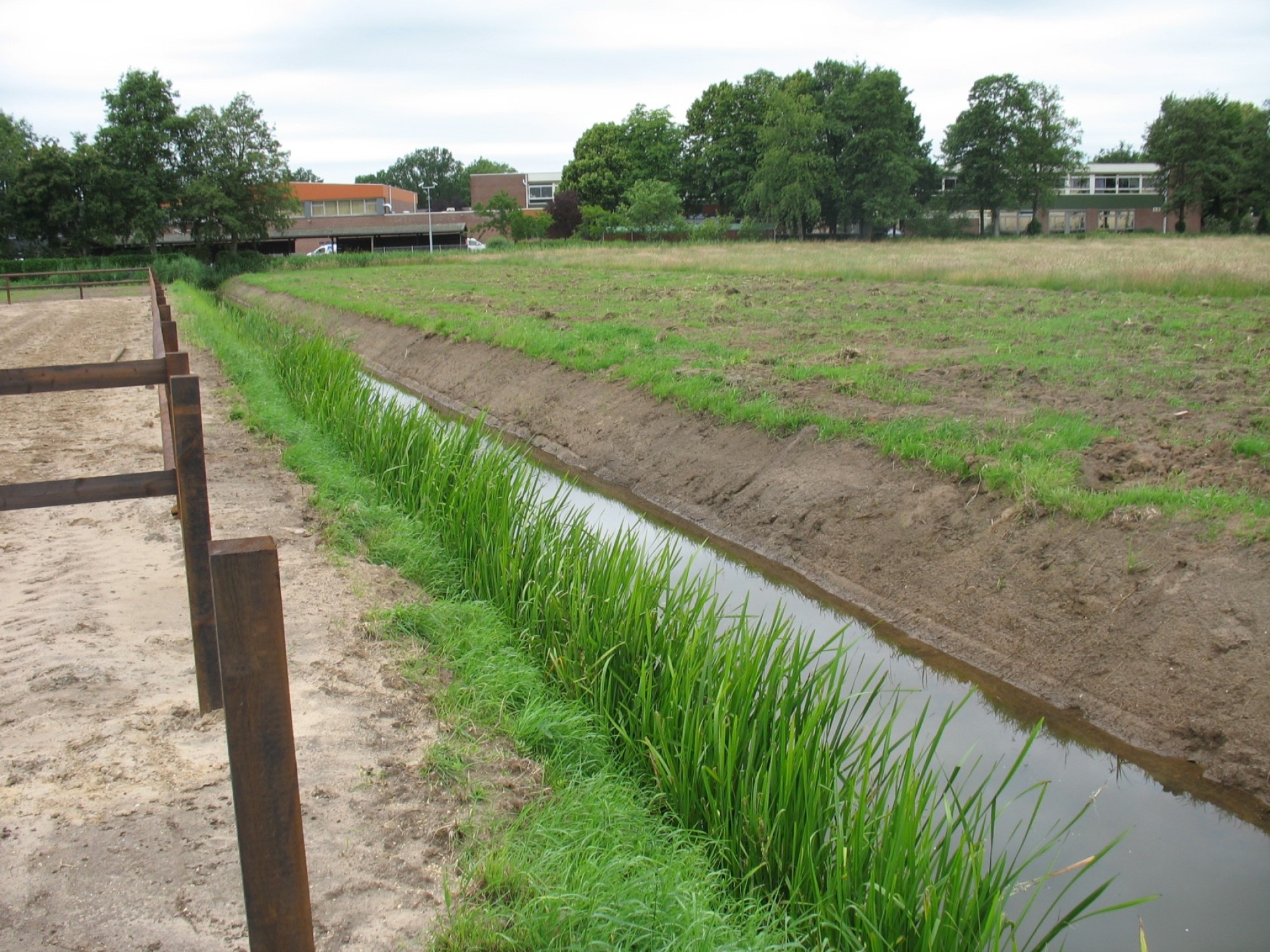 hendriks-omheining-rijvereniging-buitebak-10