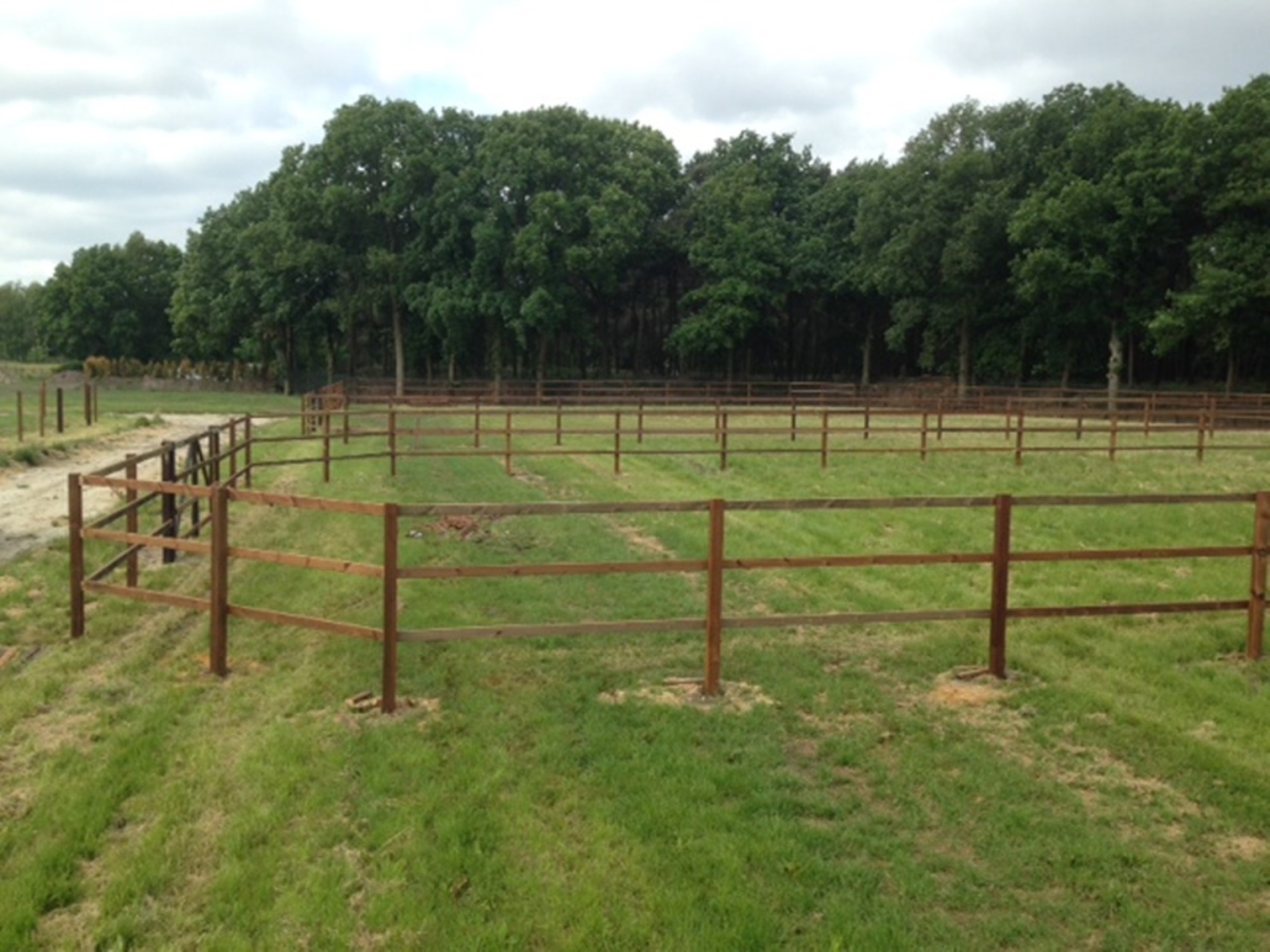 hendriks-omheining-stal-korenbloem-5