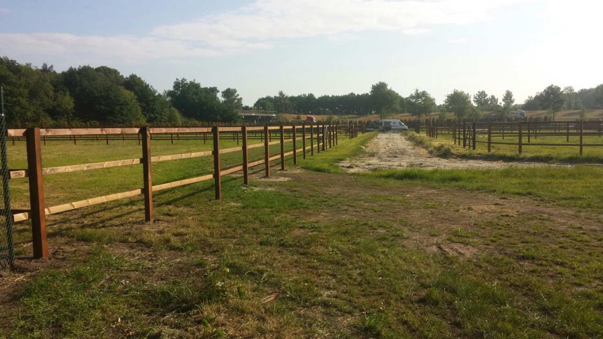 hendriks-omheining-stal-korenbloem-7