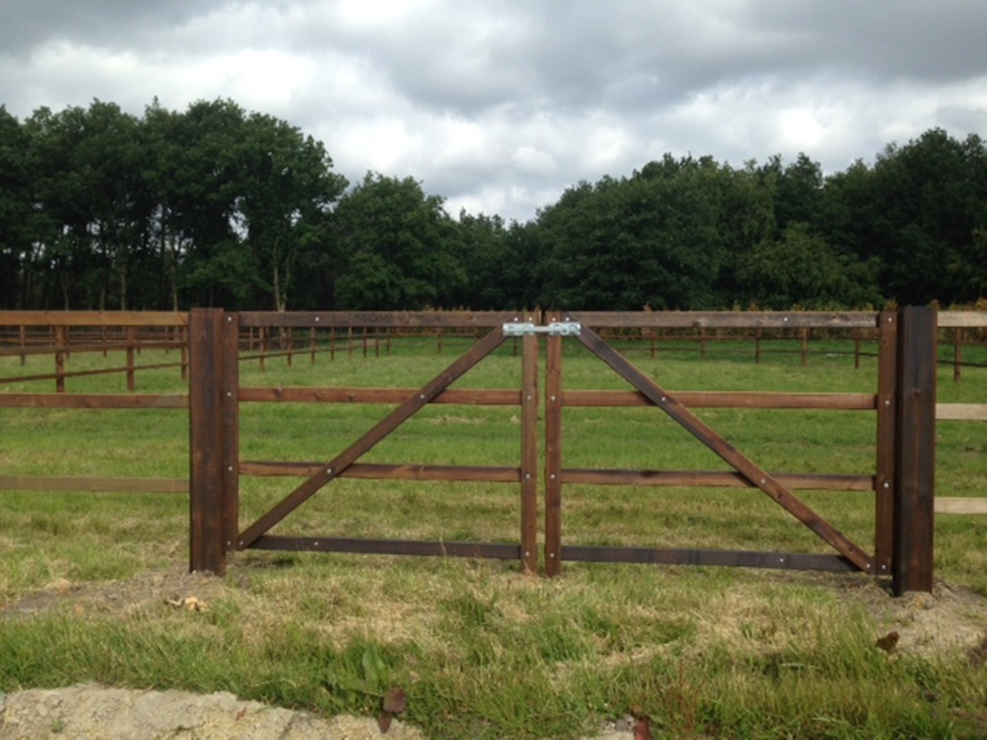 hendriks-omheining-stal-korenbloem-8