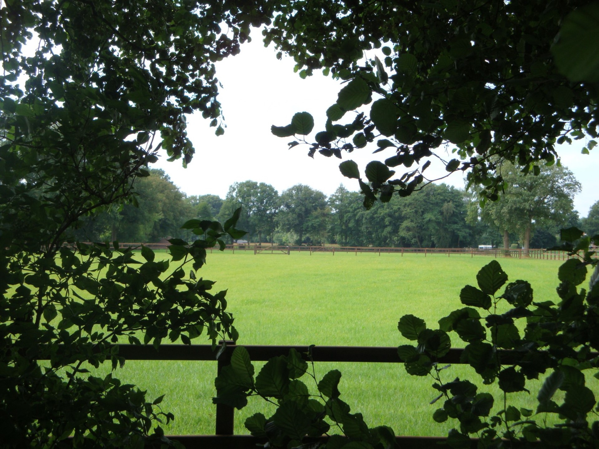 hendriks-omheining-veldhuis-hekwerk-12