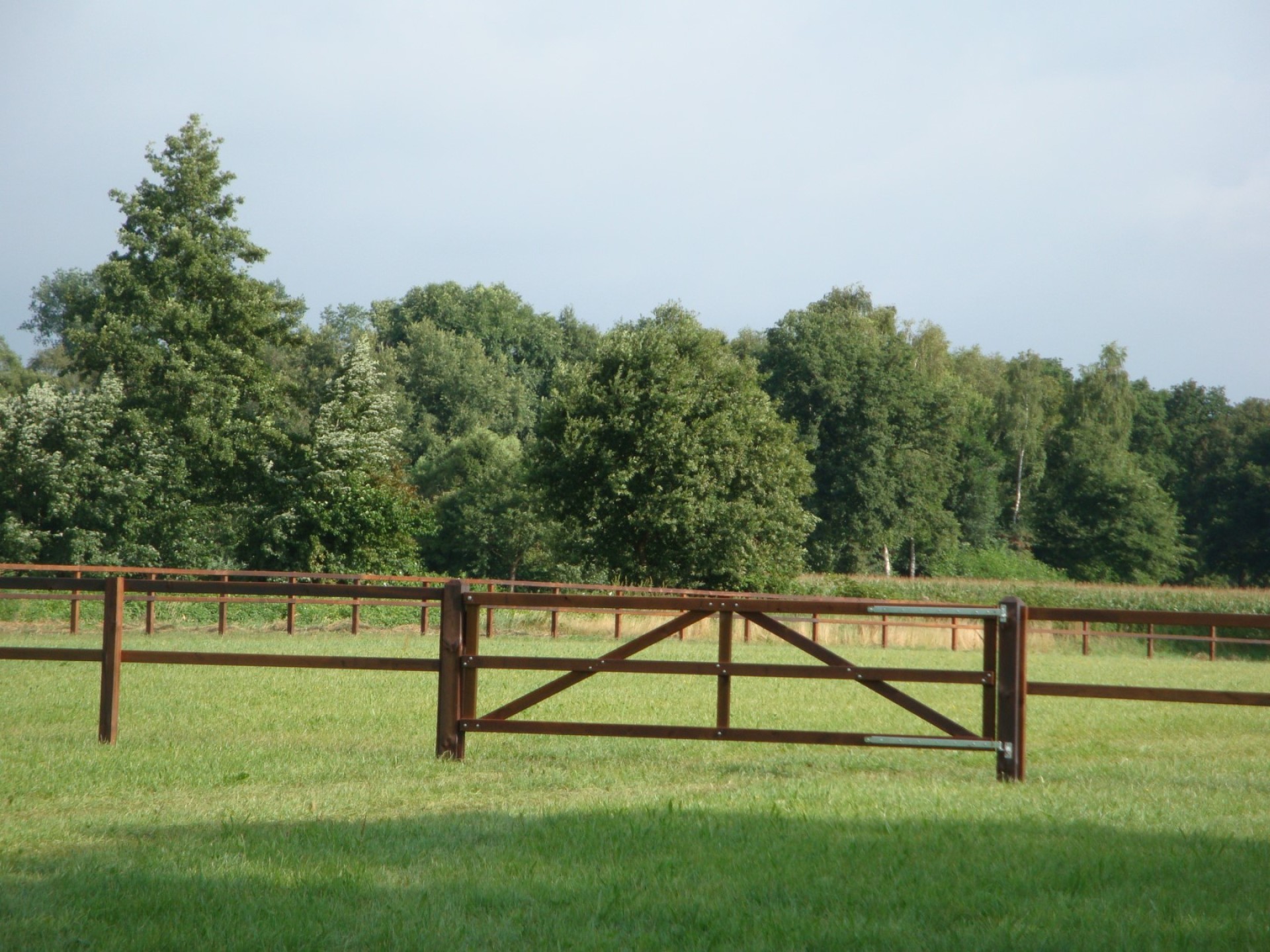 hendriks-omheining-veldhuis-hekwerk-6