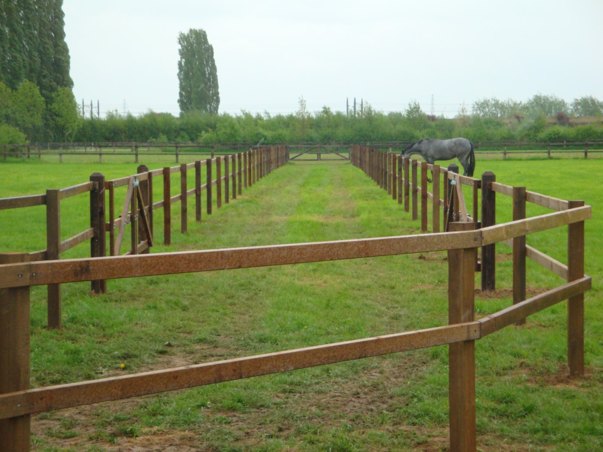 hendriks-omheining-weiland-hardhout-heijting-11