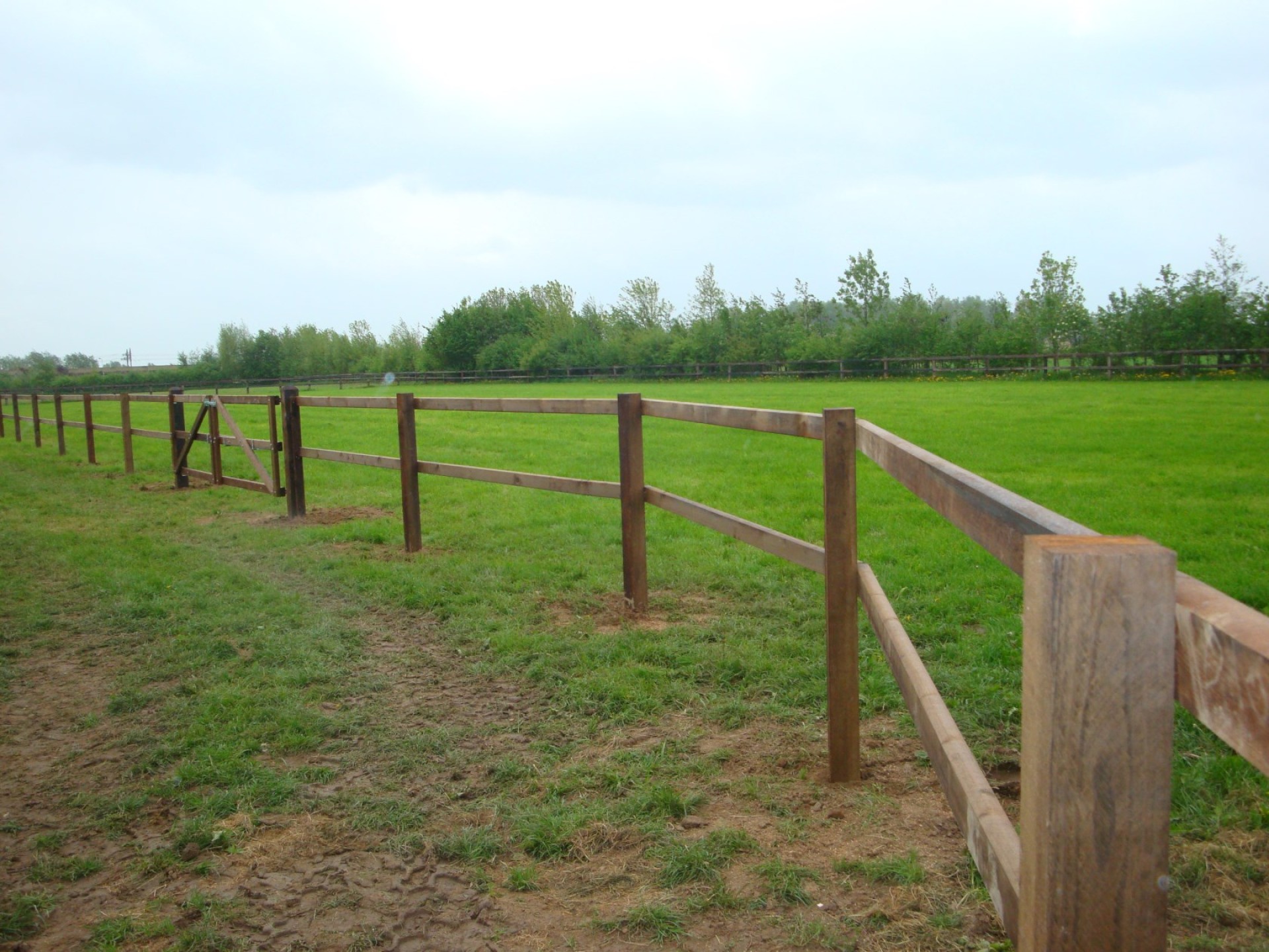 hendriks-omheining-weiland-hardhout-heijting-4