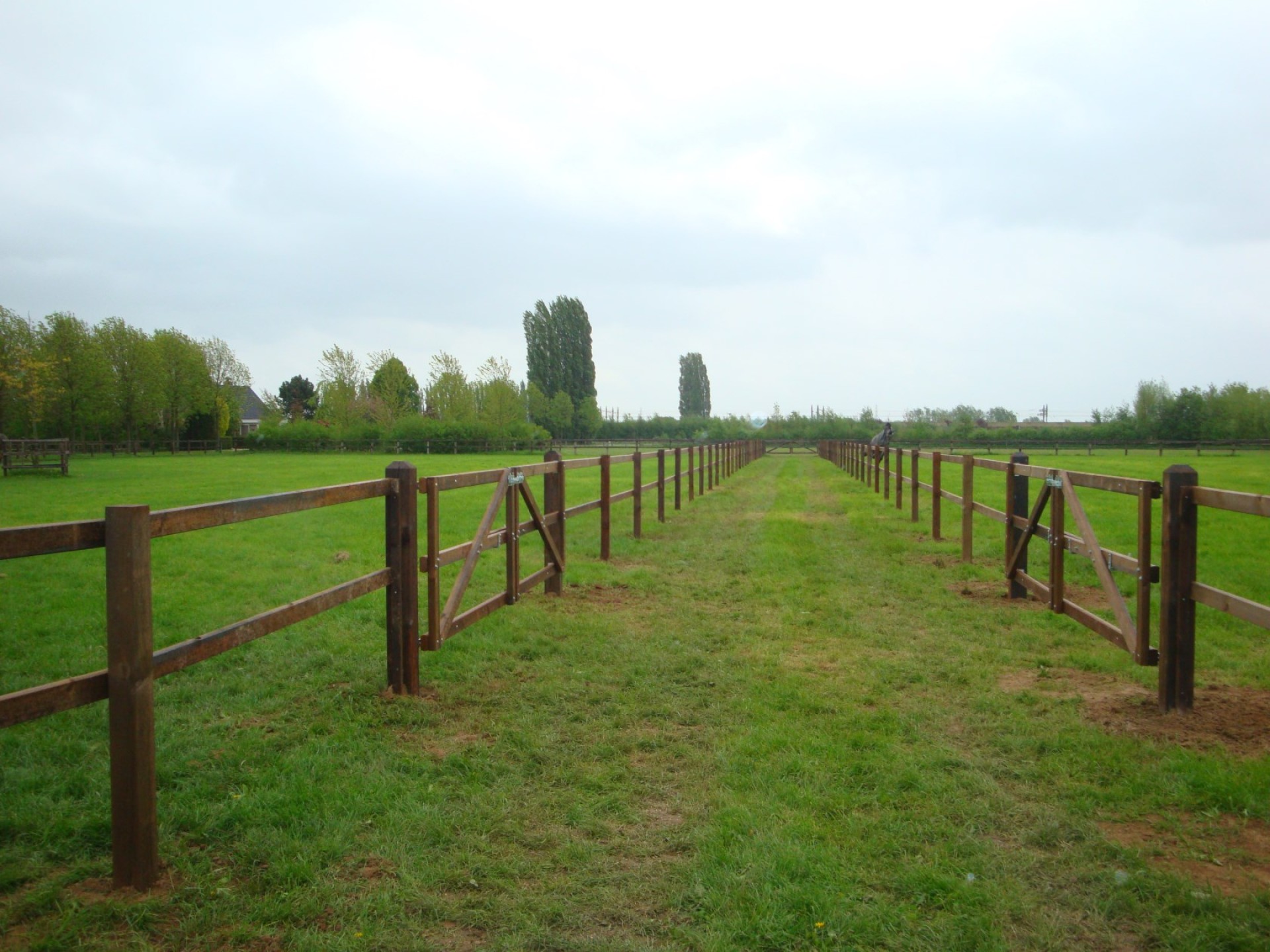 hendriks-omheining-weiland-hardhout-heijting-5