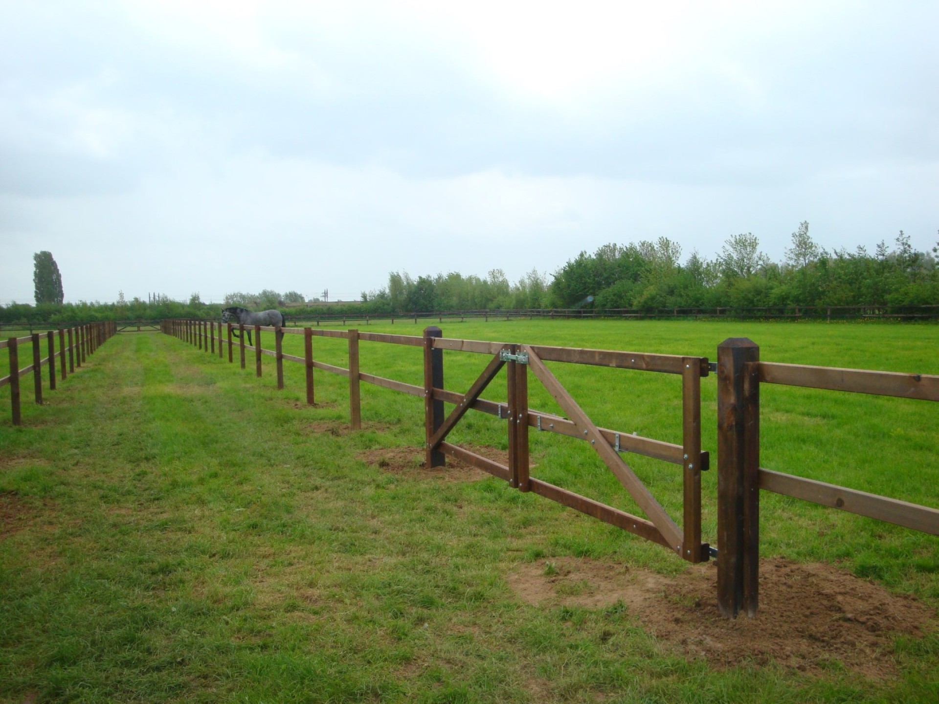 hendriks-omheining-weiland-hardhout-heijting-6
