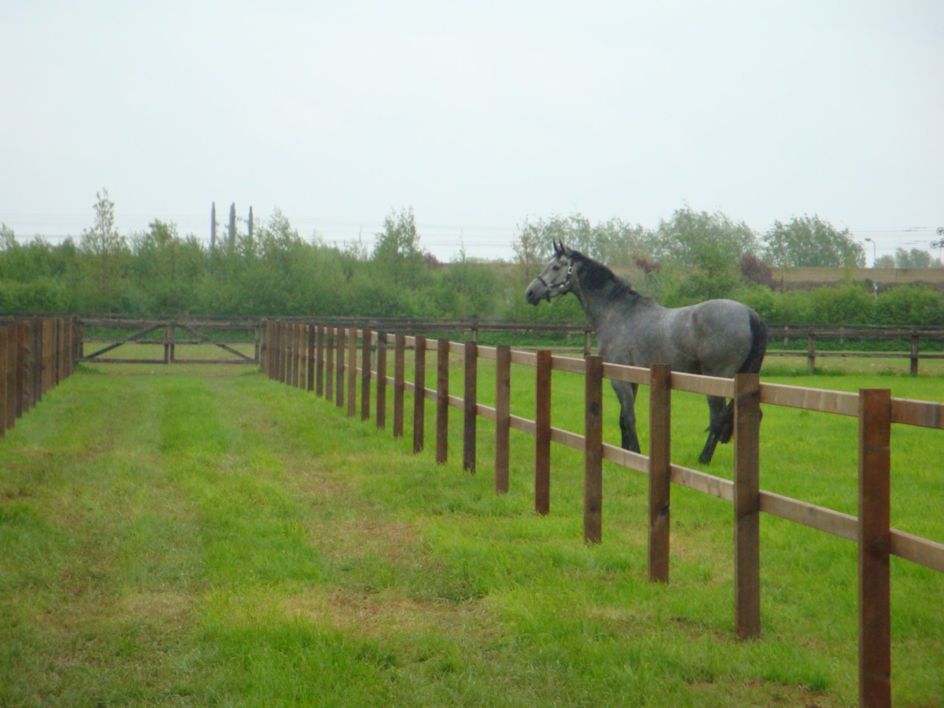 hendriks-omheining-weiland-hardhout-heijting-7