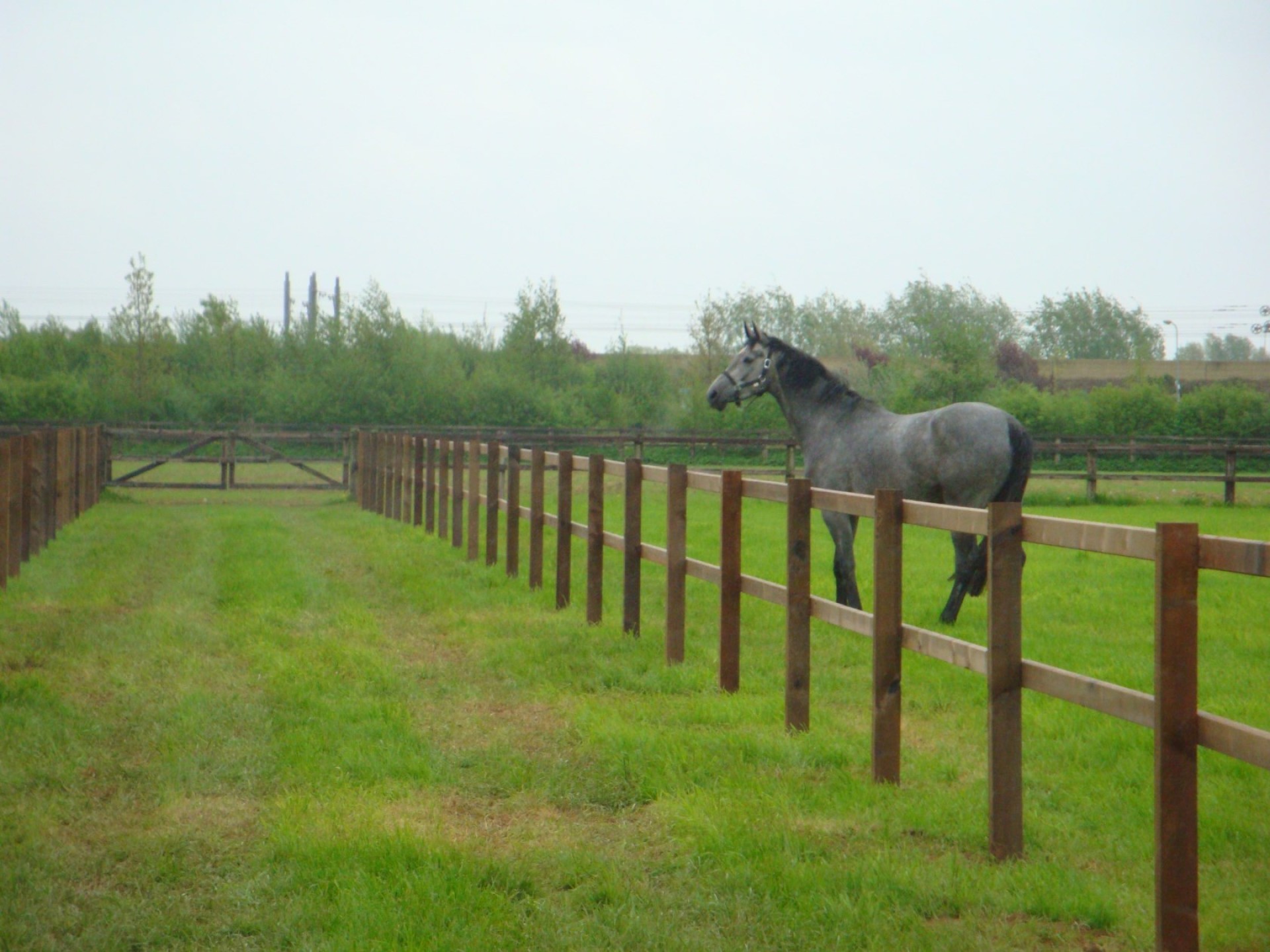 hendriks-omheining-weiland-hardhout-heijting-7