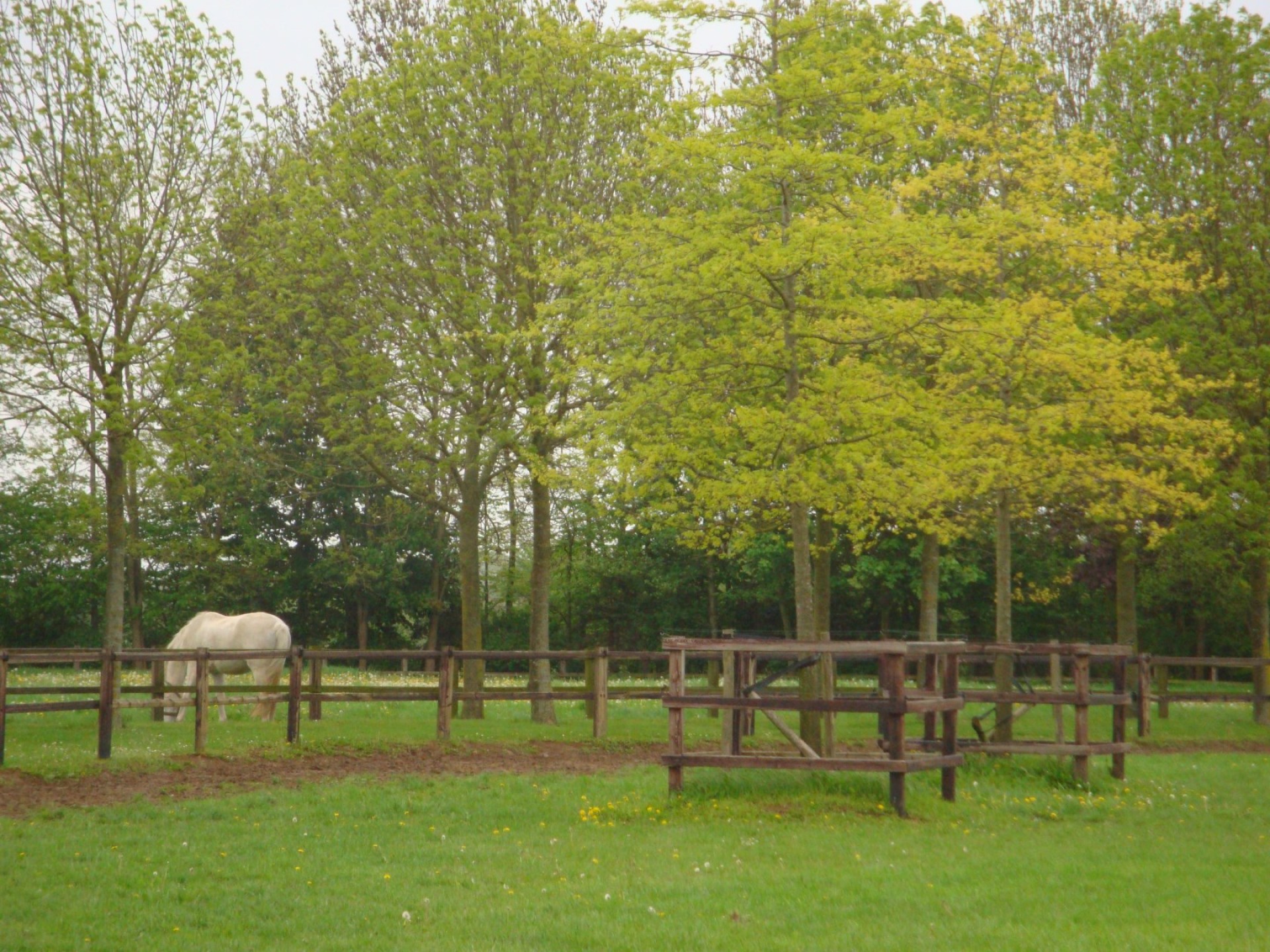 hendriks-omheining-weiland-hardhout-heijting-8
