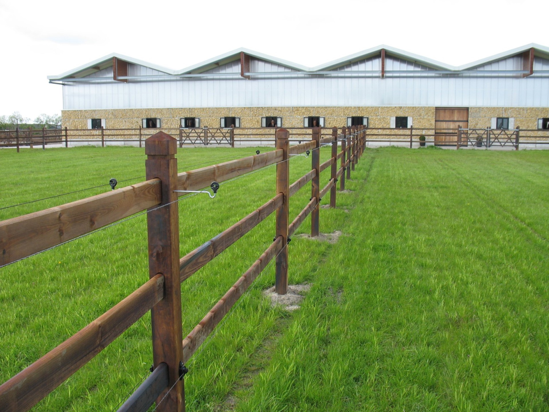 hendriks-omheining-weiland-paddocks-groot-8