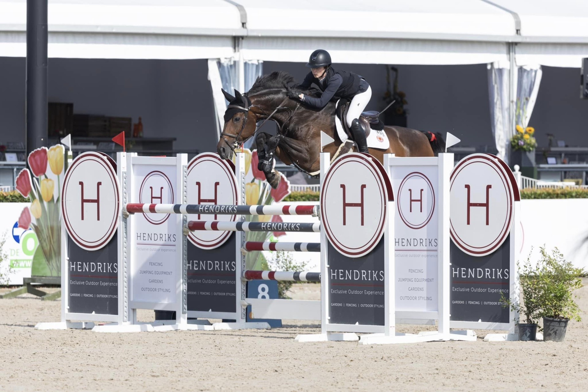 Hendriks Sporthorses -0073