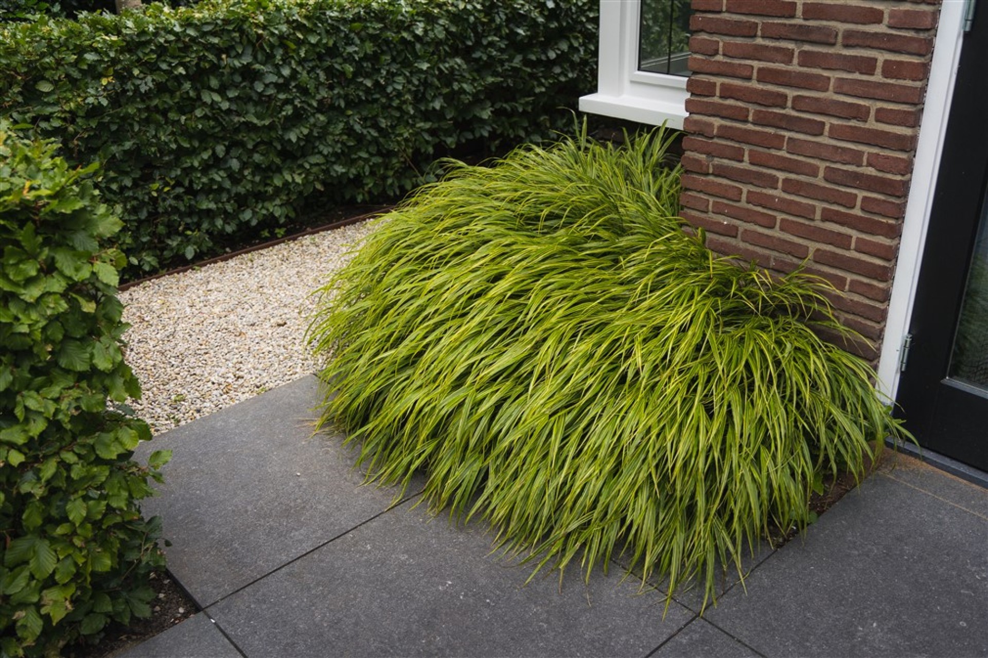 HH_12-06-24_WaltersingelApeldoorn-29