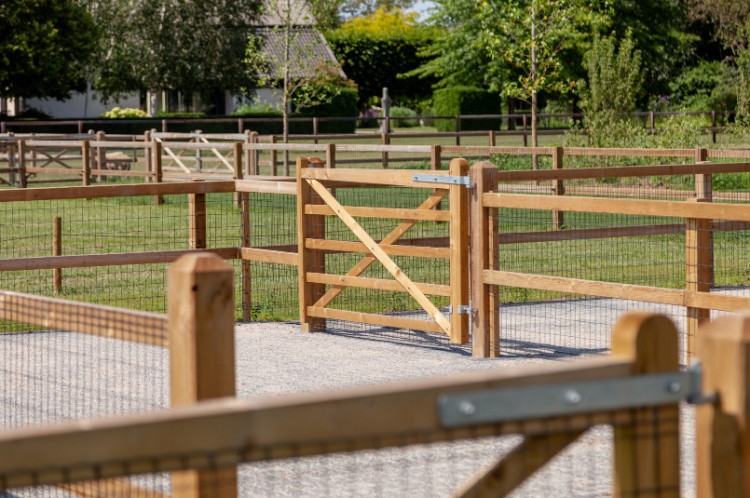 paddock-aanleggen-voor-paarden