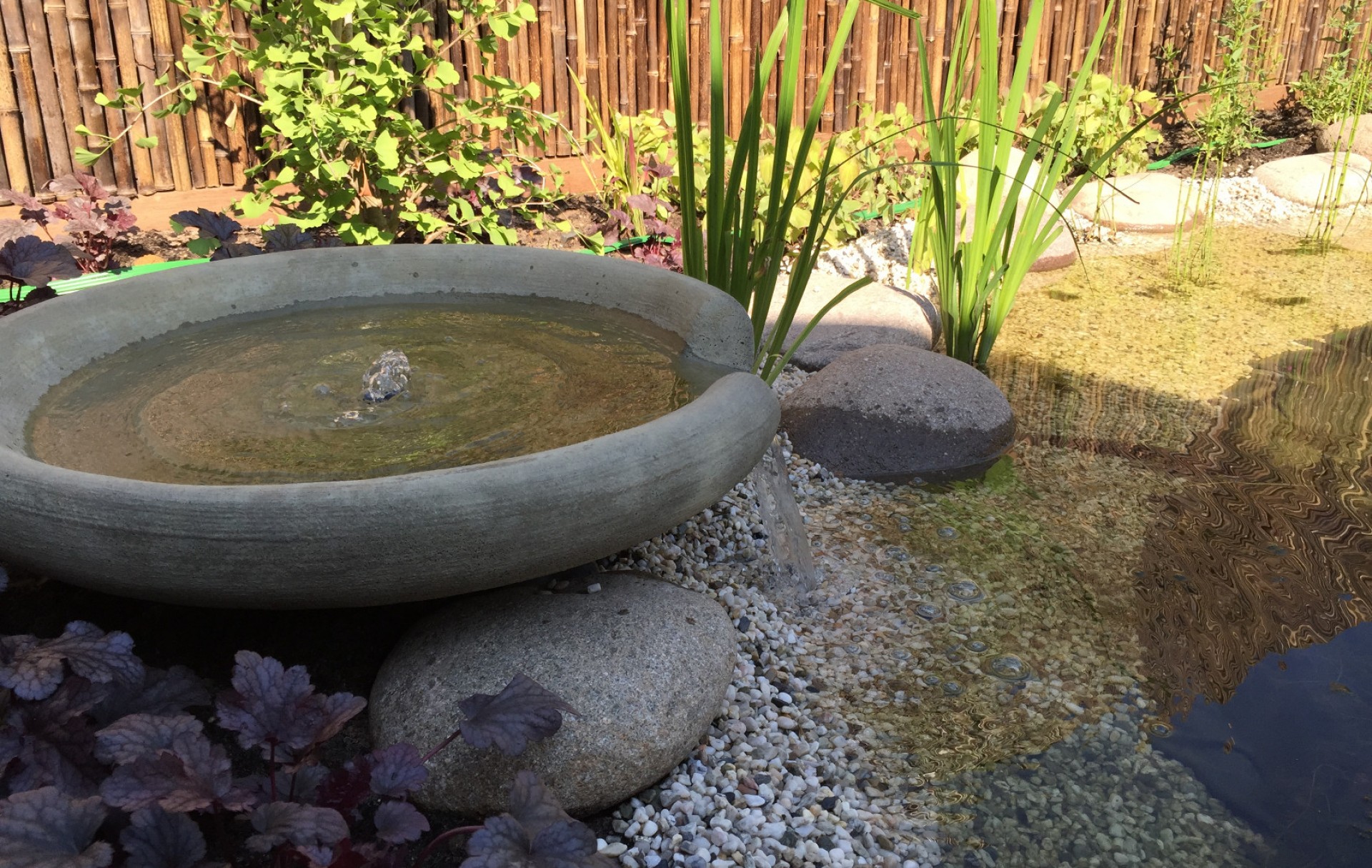 Oosterse tuin