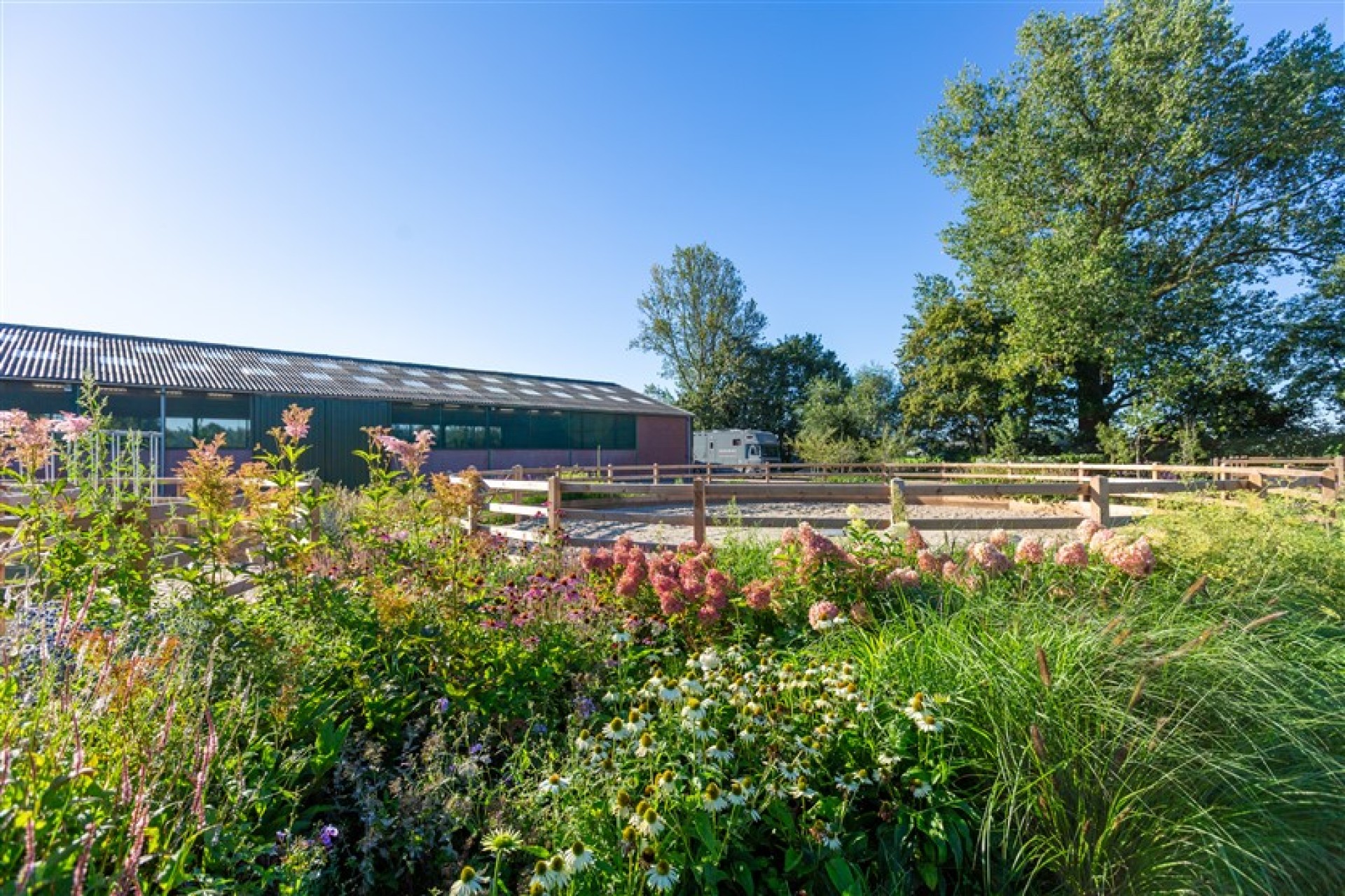 paardenomheining gemeente montferland (10)