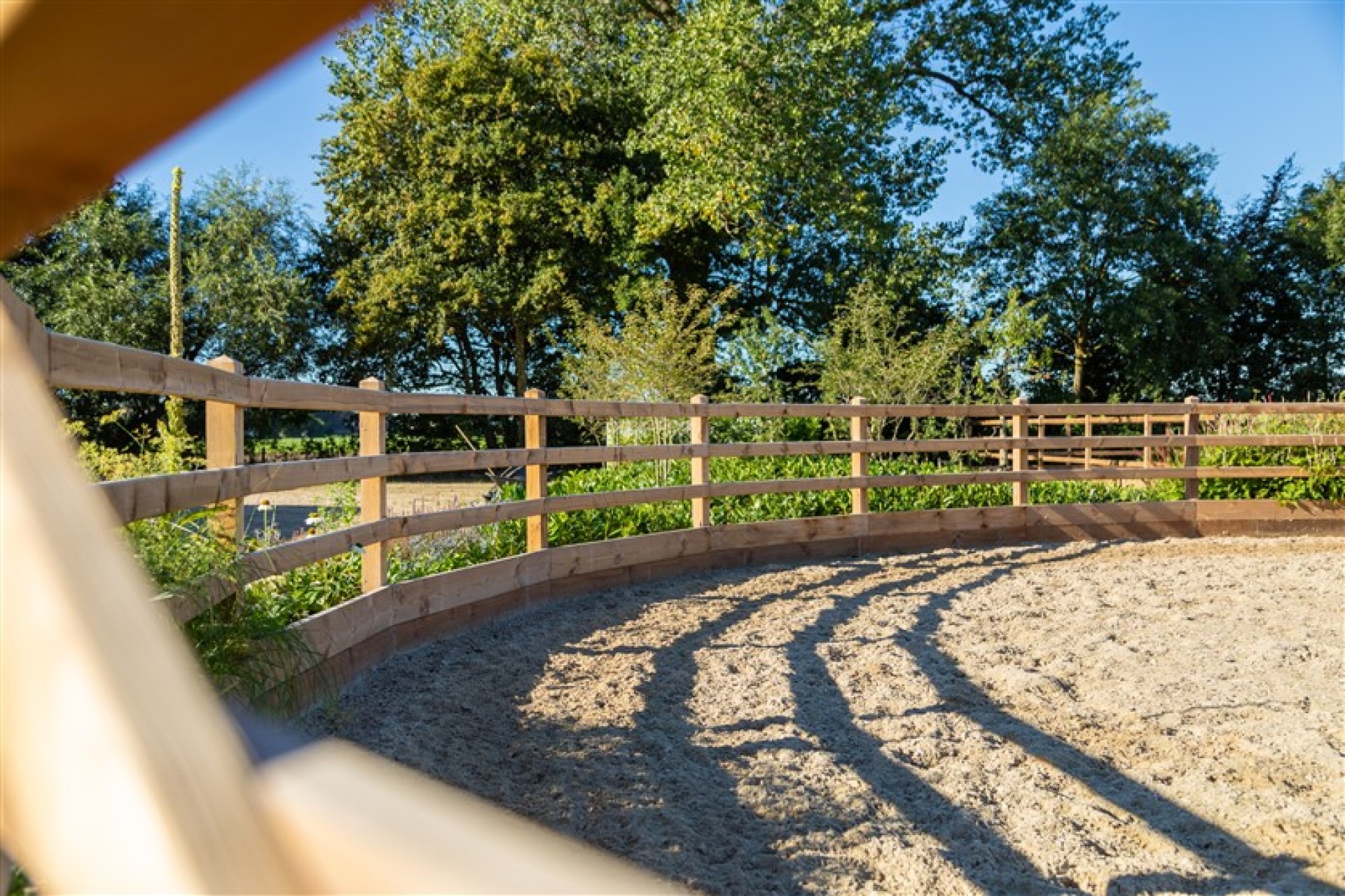 paardenomheining gemeente montferland (16)